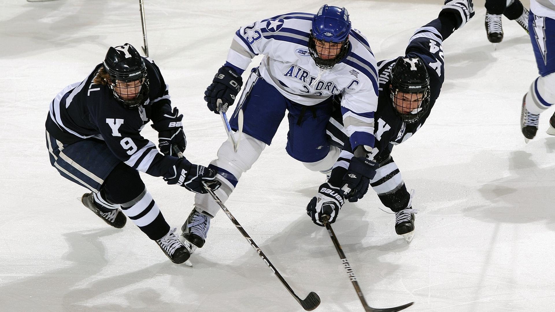 球员入选最佳阵容 投票过程公开透明，赛事最佳球员